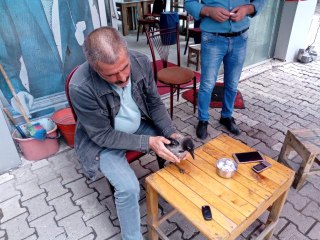 Karganın hayrete düşüren dostluğu! Her gün kahveye gelip yiyeceğini alıyor