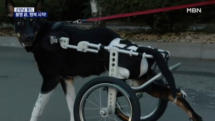 [굿모닝월드] 불행 끝, 행복 시작!