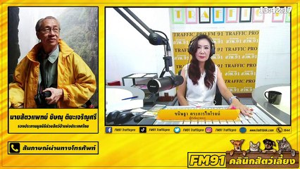 โรคนิ่วในระบบทางเดินปัสสาวะของสุนัขและแมว EP.2 : FM91 คลินิกสัตว์เลี้ยง : 4 เมษายน 2564
