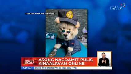 Asong nagdamit-pulis, kinaaliwan online | UB