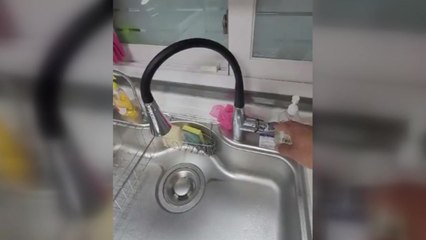 경기도 안산시 상록구 일대 단수...1시간 만에 복구 / YTN