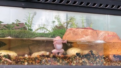 We Organize School Incursions