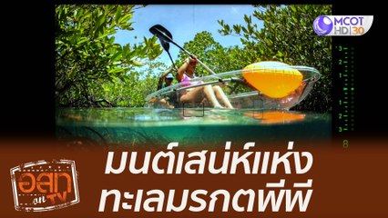 มนต์เสน่ห์แห่งทะเลมรกต...พีพี : อสท ออน ทีวี (22 ส.ค. 64 )