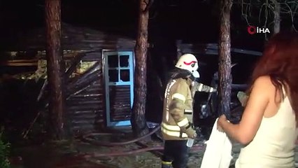 İstanbul'da kamp ateşi ormana sıçradı