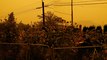'Sky Over Kamloops Turns Orange as BC Fires Continue Wreaking Havoc'
