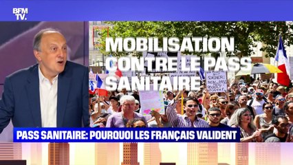 Pass sanitaire : pourquoi les Français valident - 23/08