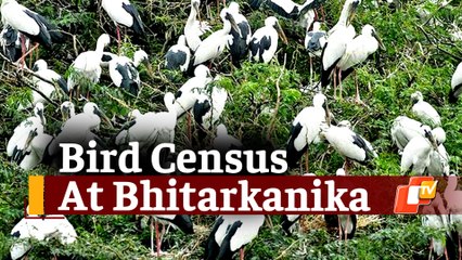Odisha: 7- Day Bird Census At Bhitarkanika National Park Begins Today