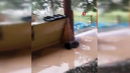 Artvin’de hortum evlerin ve ahırların çatısını uçurdu