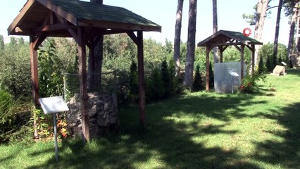 Bu kayaçlar görenleri şaşırtıyor