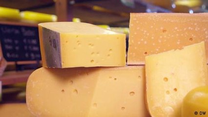 Niederländischer Gouda - einer der beliebtesten Käse weltweit