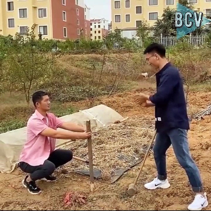 Best Funny Videos Part 3