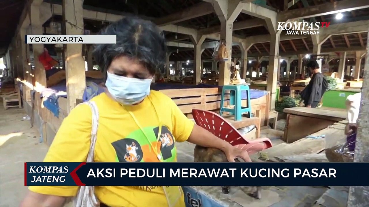 Aksi Peduli Merawat Kucing Pasar