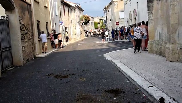 Manduel : abrivado manade Briaux