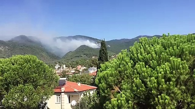 Kazdağları'nda orman yangını