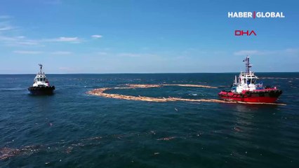 Sinop, Kastamonu ve Bartın'da felaketin ardından tomruklar böyle toplanıyor