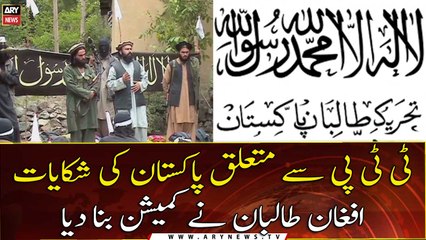 Pakistan's complaints about the TTP, the Afghan Taliban set up a commission