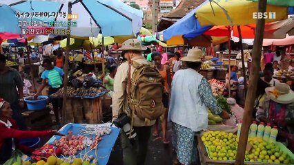 세계테마기행 - 고고 아일랜드- 아프리카 소행성, 마다가스카르_#001