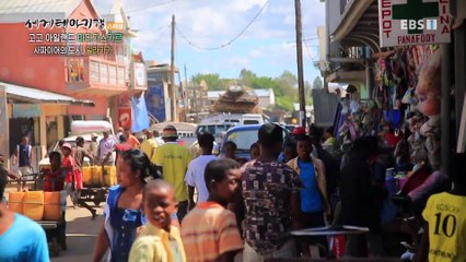 세계테마기행 - 고고 아일랜드- 아프리카 소행성, 마다가스카르_#002