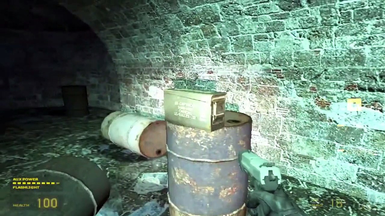 Half Life 2
