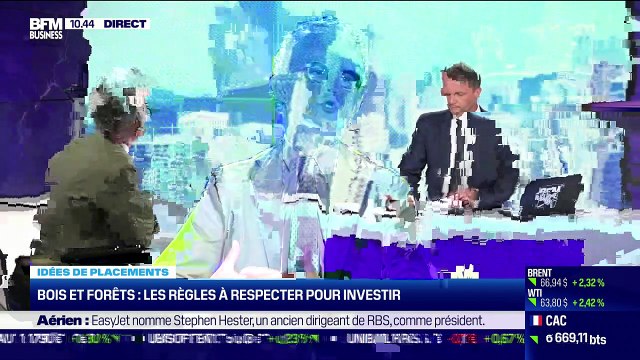 Idée de placements: Bois et forêts, les règles à respecter pour investir - 23/08