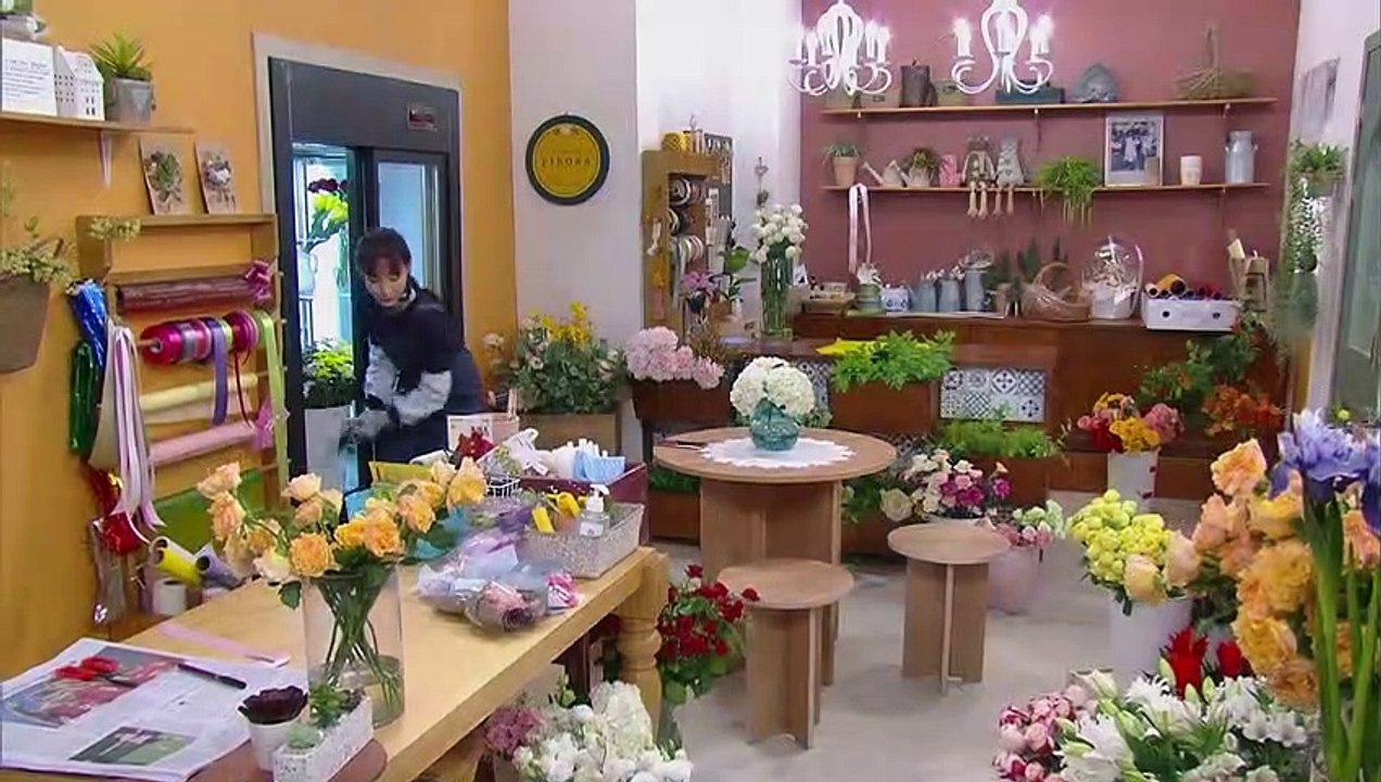 ドラマ ピオラ花店の娘たち 動画 Dailymotion