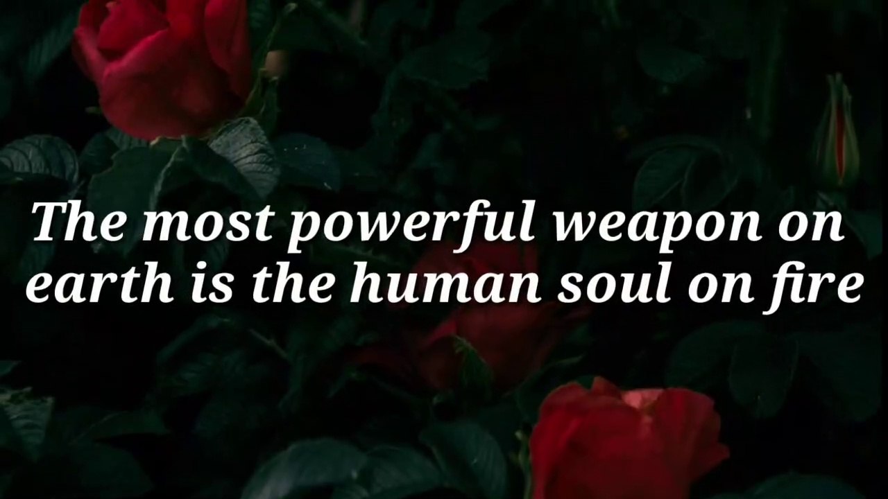 Incredible Love quotes