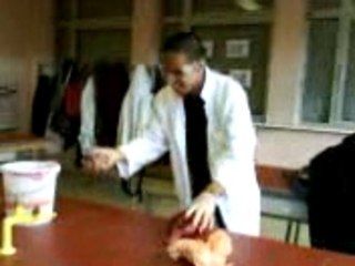 Jongle avec un cadavre de grenouille et deux coeurs