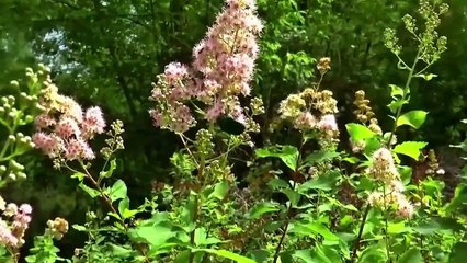 Relaxing Work and Study Music To Concentrate_05