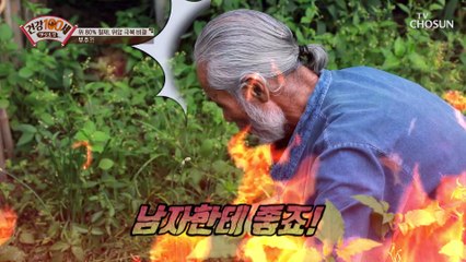 자연에서 나온 재료로 만든 암 극복 건강 밥상 TV CHOSUN 210823 방송