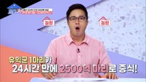 유익균 수를 늘리는 것이 장 속을 건강하게 만드는 지름길 TV CHOSUN 20210823 방송