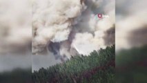 Son dakika haber | California'daki orman yangını devam ediyor: 700 ev küle döndü