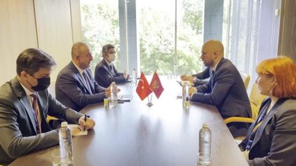 Son dakika haberi: Dışişleri Bakanı Çavuşoğlu, Karadağlı mevkidaşıyla görüştü