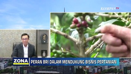 Peran BRI dalam Mendukung Bisnis Pertanian - Zona Inspirasi
