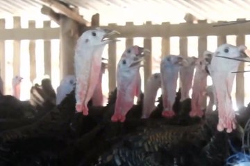 เรื่องพลบค่ำ ช่วงที่ 4 วันจันทร์ที่ 23 ส.ค.64