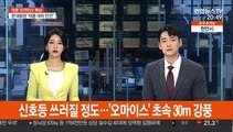 가로수·신호등 쓰러질 정도…'오마이스' 초속 30m 강풍