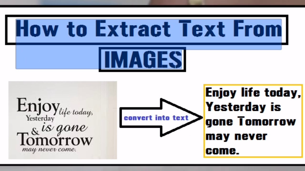Copy Text From Any Image Or PDF | My Tech Life | TLIA