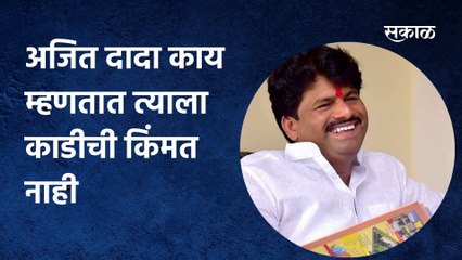 Gopichand Padalkar | अजित दादा काय म्हणतात त्याला काडीची किंमत नाही;गोपीचंद पडळकरांचे टीकास्त्र