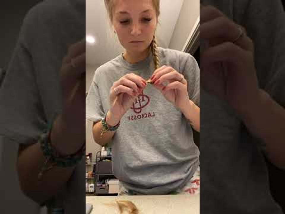 Kitten Chews Through Braid Completely