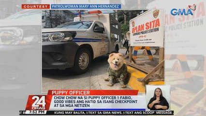 Chow Chow na si Puppy officer 1 Fabio, good vibes ang hatid sa isang chekcpoint at sa mga netizen | 24 Oras