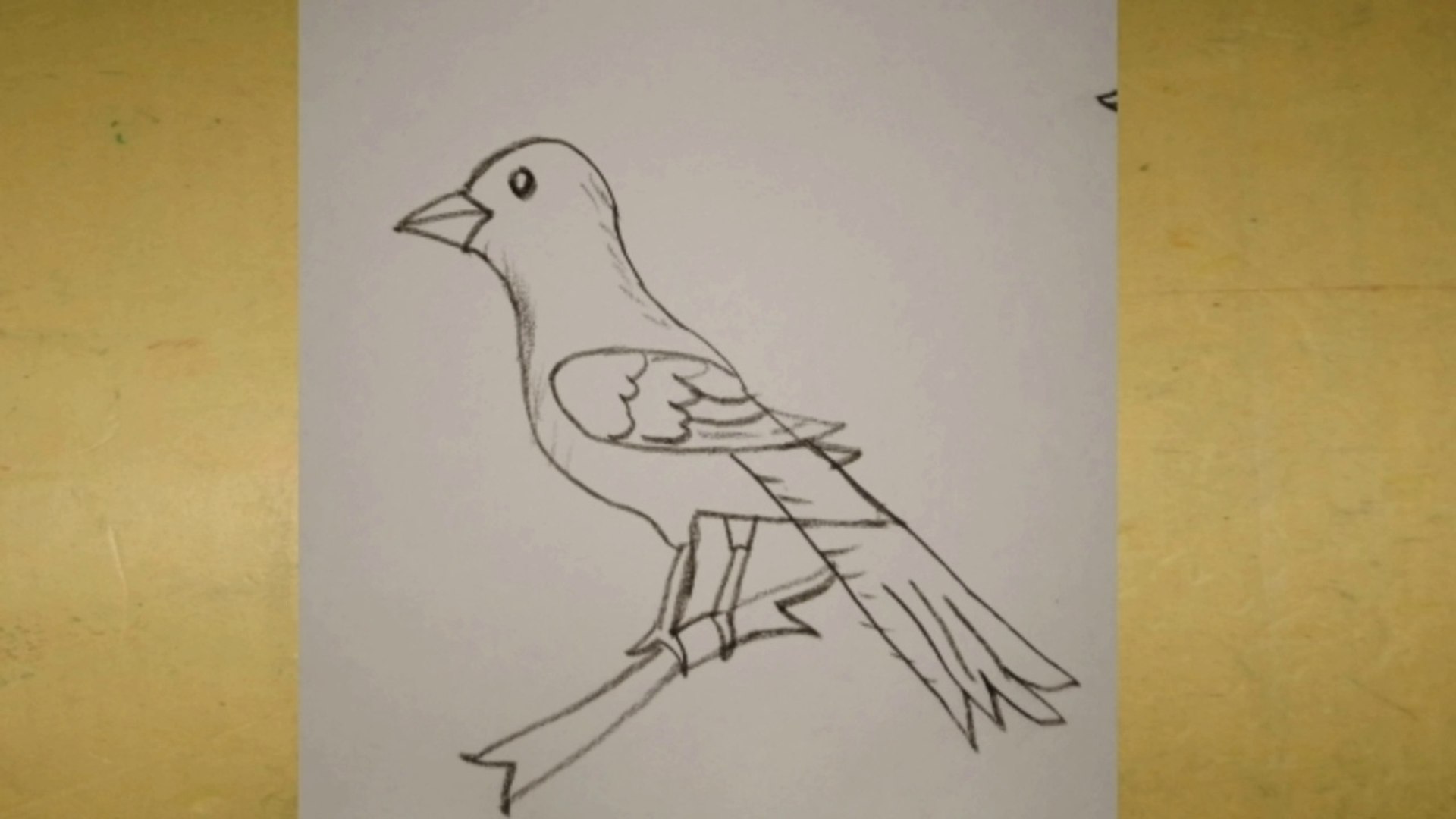 Easy bird drawing by pencil - video Dailymotion