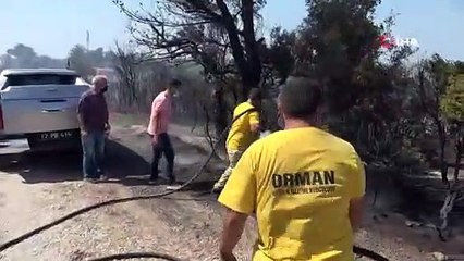 Çanakkle Tavaklı'da bir ayda 9. kez orman yangını çıktı