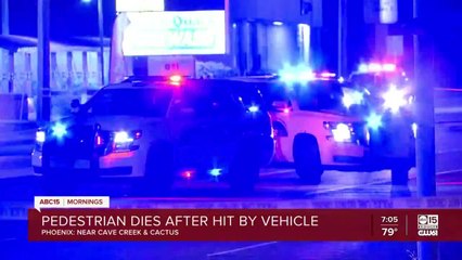 Pedestrians killed in separate Monday morning crashes
