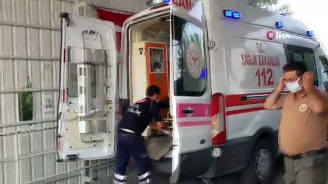 Edremit'te orman yangını...Dumandan kaçan ayı yangını söndürmeye çalışan orman gönüllüsüne saldırdı