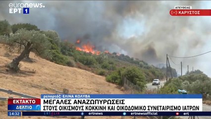 Οριοθετήθηκε εκ νέου η πυρκαγιά στην Κάρυστο της Νότιας Εύβοιας