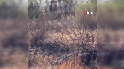 Bodrum'daki yangın büyümeden kontrol altına alındı