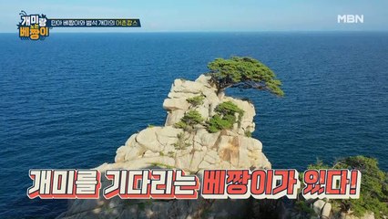 저~ 푸른 바다 끝까지♬ 민아X범석의 어촌에게로 떠나는 여행!