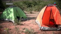 Desmantelan campamentos del crimen organizado en Zacatecas