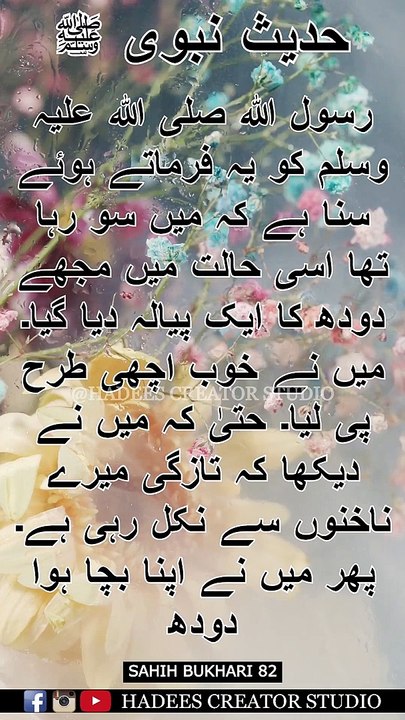 Sahih Bukhari Hadees No 82 | Hadees Status | Hadees Sharif | Sahih Bukhari Hadees in Urdu #shorts