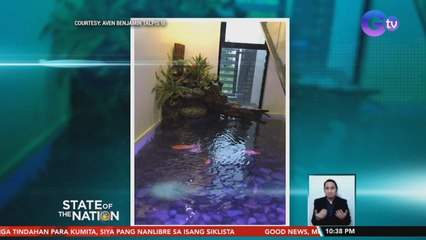 Indoor koi pond, pinagkaabalahan ngayong pandemya ng psych grad na aquascaping ang hobby | SONA
