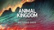 Animal Kingdom - Promo 5x08